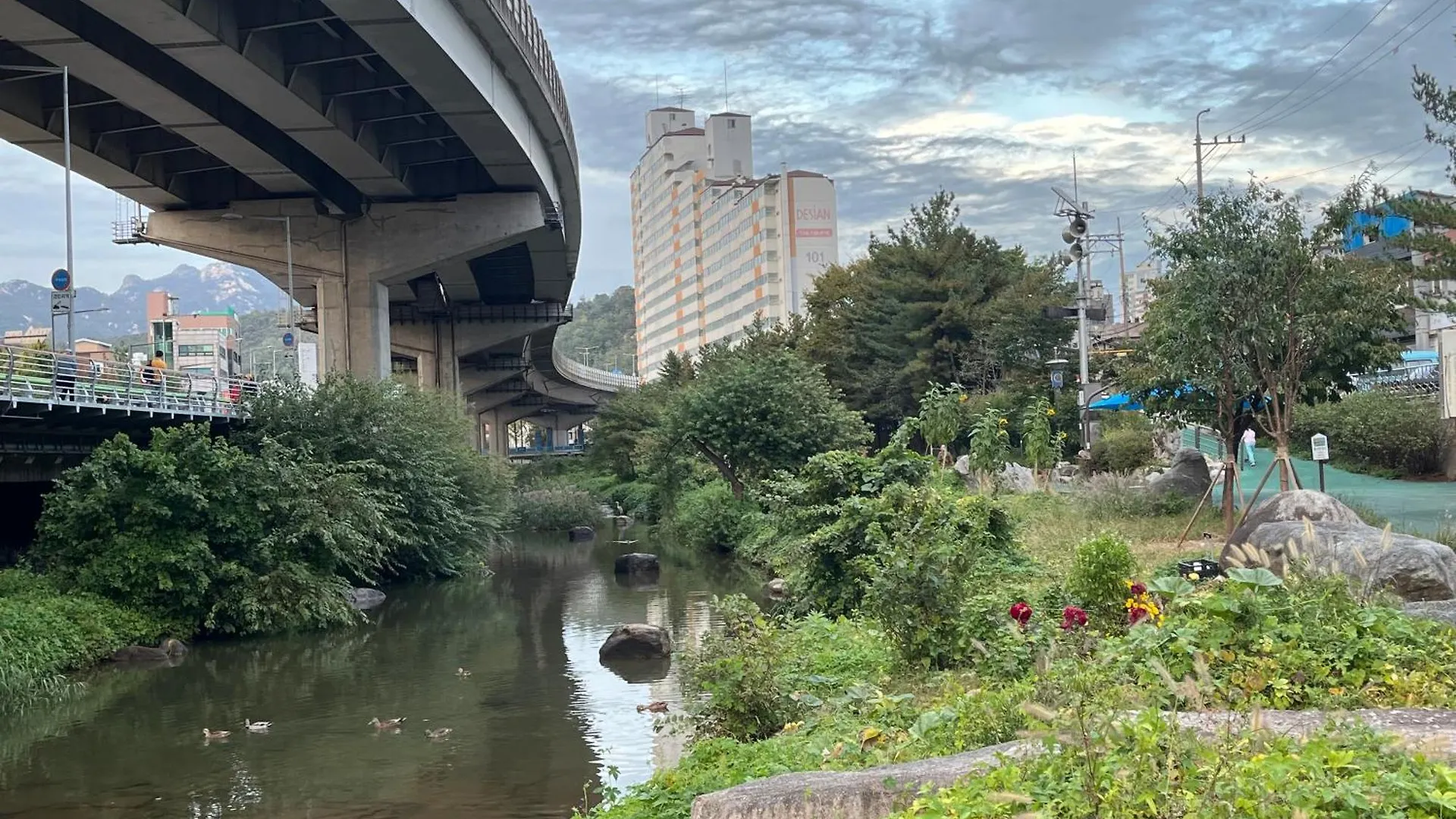 אכסניה הוסטל סיאול Bueno Day - Near Hongdae & Historic Sites