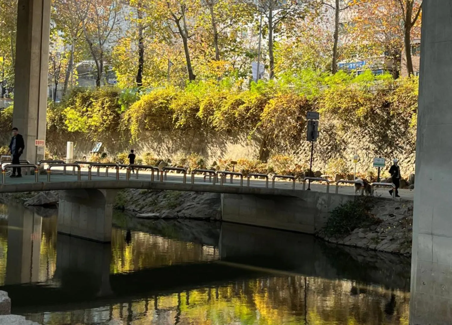 Bueno Day - Near Hongdae & Historic Sites Hostel Seoel Zuid-Korea